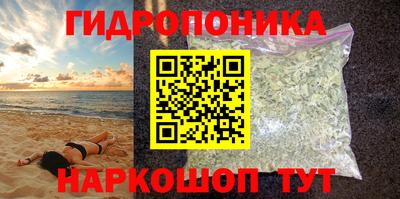сатива Краснознаменск