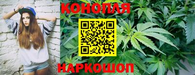 эйфоретик Краснодар