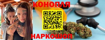 сатива Краснознаменск