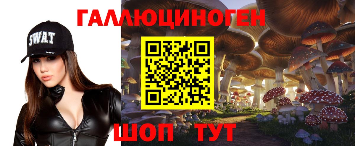 Псилоцибиновые грибы Psilocybine cubensis Комсомольск-на-Амуре